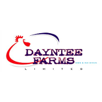 dayntee logo